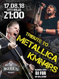 17 ,  - Tribute to Metallica