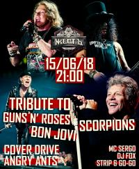 15 ,  Tribute to Bon Jovi, Scorpions & Guns N Roses