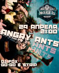 29 ,  - ANGRY ANTS